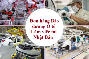 ĐƠN HÀNG BẢO DƯỠNG Ô TÔ NHẬT BẢN T8/2019