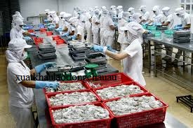 ĐƠN HÀNG: CHẾ BIẾN THỦY SẢN KHÔNG QUA XỬ LÝ NHIỆT THÁNG 3/2026