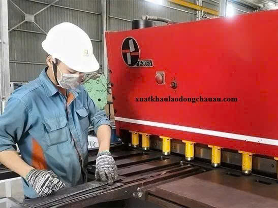 ĐƠN HÀNG GIA CÔNG KIM LOẠI, VẬN HÀNH CAD THÁNG 12/2025