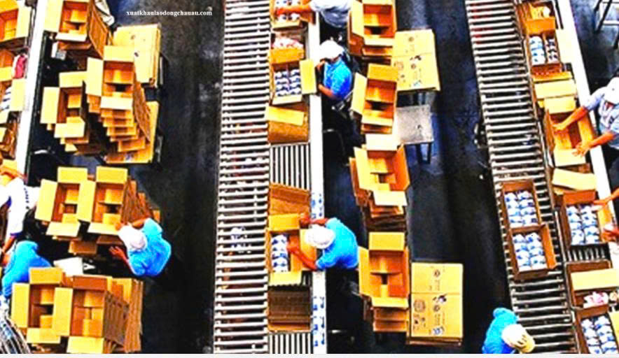 ĐƠN HÀNG: KĨ SƯ VẬN HÀNH MÁY , ĐÓNG GÓI, GIAO NHẬN HÀNG THÁNG 1/2026