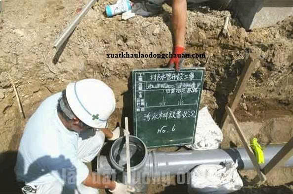 ĐƠN HÀNG LẮP ĐẶT ĐƯỜNG ỐNG THÁNG 12/2025