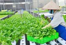 ĐƠN HÀNG: NÔNG NGHIỆP TRỒNG TRỌT THÁNG 4/2026