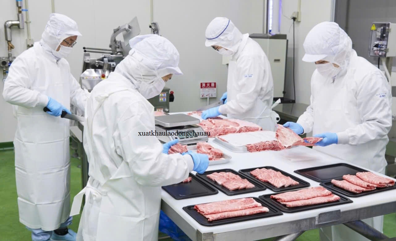 ĐƠN HÀNG: SƠ CHẾ, CHẾ BIẾN THỊT TRONG XƯỞNG THÁNG 4/2026