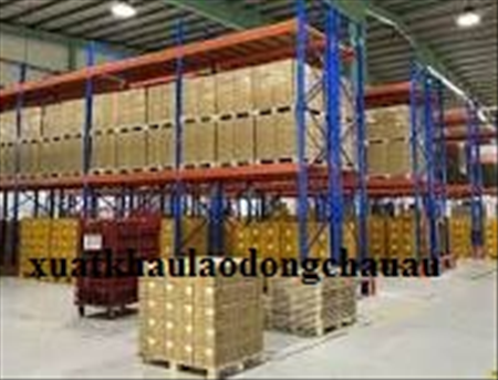 ĐƠN HÀNG: (1 NĂM) PHÂN LOẠI SẮP XẾP HÀNG HÓA THEO GIỮ LIỆU TRONG KHÓ, XƯỞNG, SIÊU THỊ THÁNG 3/2026