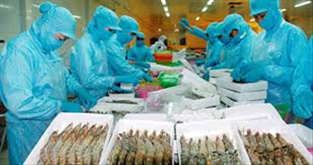 ĐƠN HÀNG: CHẾ BIẾN THỦY SẢN KHÔNG QUA XỬ LÝ NHIỆT THÁNG 4/2026