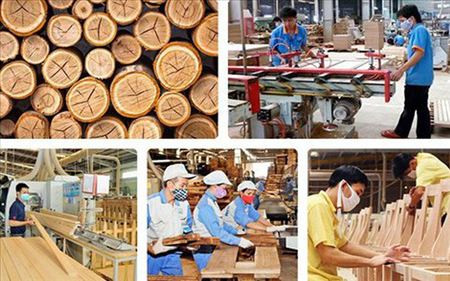 Đơn hàng công nhân nhà máy chế biến gỗ Hungary