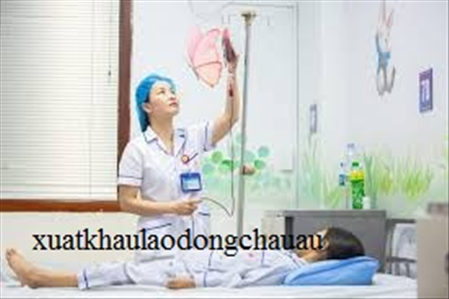 ĐƠN HÀNG: ĐIỀU DƯỠNG THÁNG 3/2026