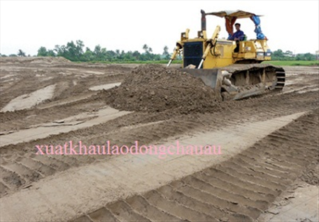 ĐƠN HÀNG: LÀM ĐƯỜNG, LÁI MÁY CÔNG TRÌNH, SAN LẤP MẶT BẰNG THÁNG 3/2026