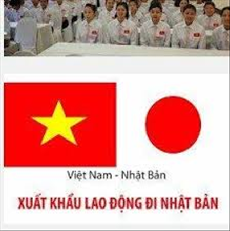 ĐƠN HÀNG LÀM TÚI THỜI TRANG THÁNG 11/2019