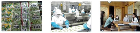 ĐƠN HÀNG: PHÂN LOẠI ĐÓNG GÓI ĐẬU TƯƠNG TRONG NHÀ KÍNH  THÁNG 8/2025