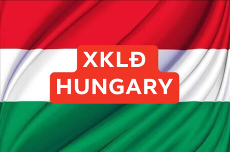ĐƠN HÀNG SẢN XUẤT GỐM SỨLÀM VIỆC TẠI HUNGGARY THÁNG 2/2020