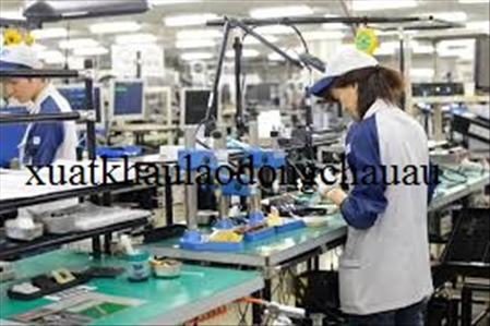 ĐƠN HÀNG: SẢN XUẤT KIỂM TRA, ĐÓNG GÓI LINH KIỆN NHỰA Ô TÔ THÁNG 4/2026