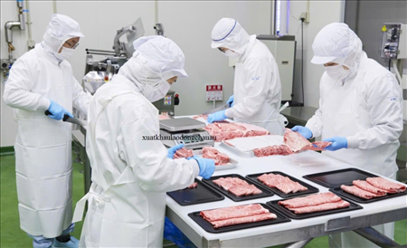 ĐƠN HÀNG: SƠ CHẾ, CHẾ BIẾN THỊT TRONG XƯỞNG THÁNG 4/2026