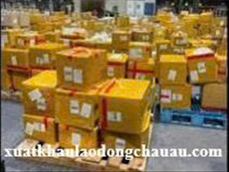 XUẤT KHẨU LAO ĐỘNG CHLB ĐỨC ĐƠN HÀNG GIAO HÀNG TẠI HAMBURG