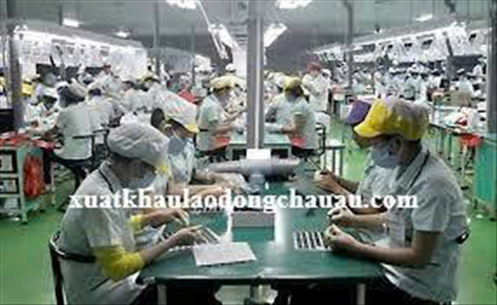 XUẤT KHẨU LAO ĐỘNG ĐÀI LOAN  ĐƠN HÀNG GIAI HAM