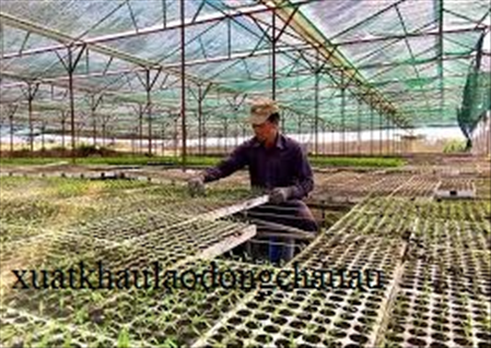 XUẤT KHẨU LAO ĐỘNG ĐÀI LOAN ĐƠN HÀNG HOÀNG THỦY HÙNG