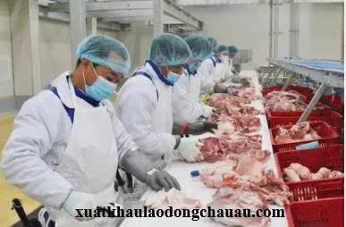 XUẤT KHẨU LAO ĐỘNG CHLB ĐỨC ĐƠN HÀNG THỰC PHẨM