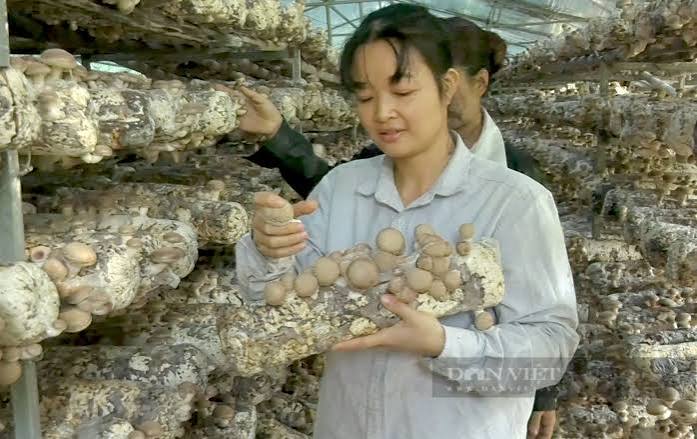 XUẤT KHẨU LAO ĐỘNG ĐÀI LOAN ĐƠN HÀNG CHIÊM THỪA TUẤN THÁNG 8/2026