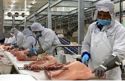 XUẤT KHẨU LAO ĐỘNG HI LẠP ĐƠN HÀNG THỰC PHẨM